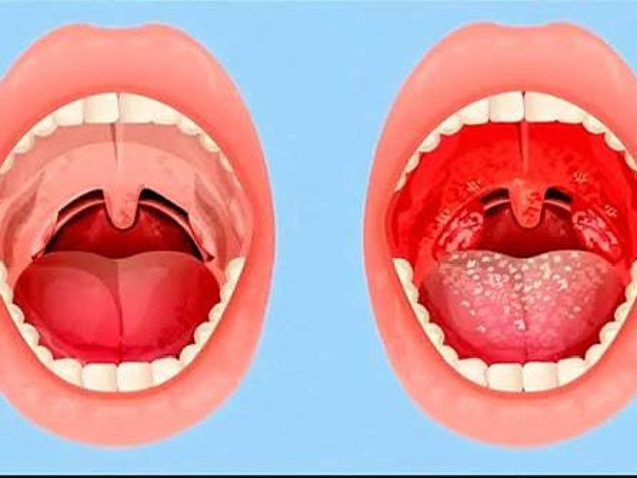 photo_2026-02-23_13-20-26