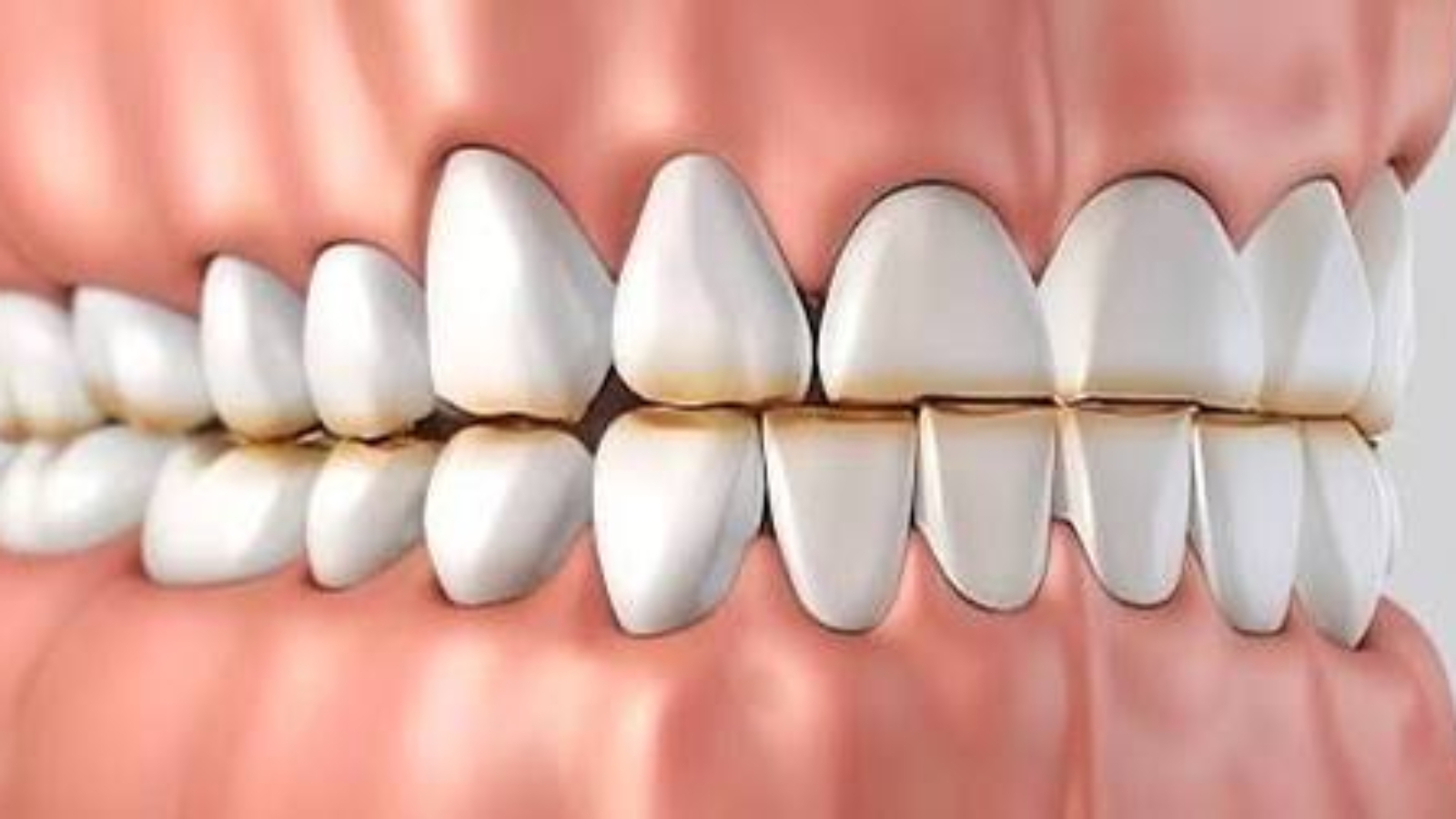 photo_2026-02-23_13-21-47