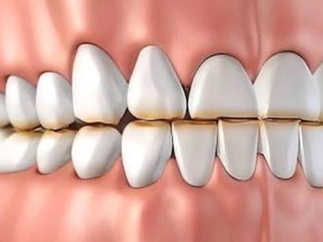 photo_2026-02-23_13-21-47