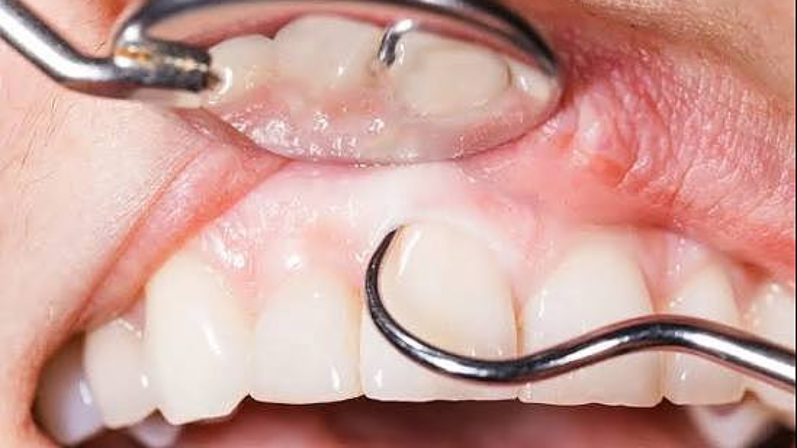 photo_2026-02-24_11-54-05