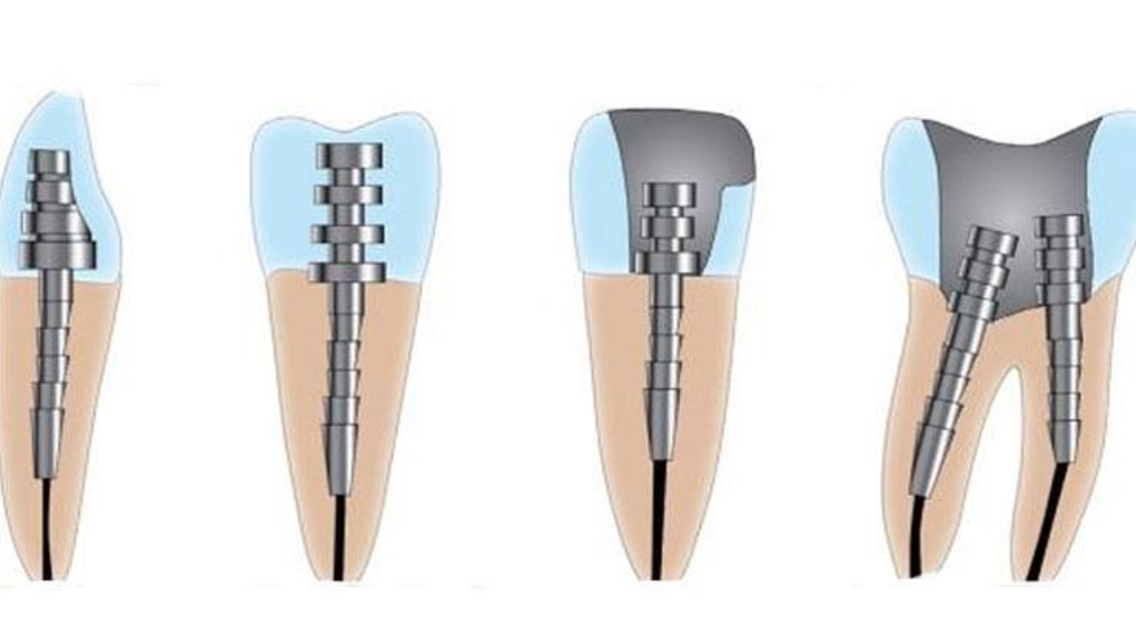 photo_2026-02-24_11-54-17