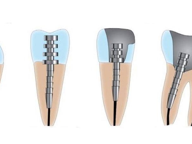 photo_2026-02-24_11-54-17