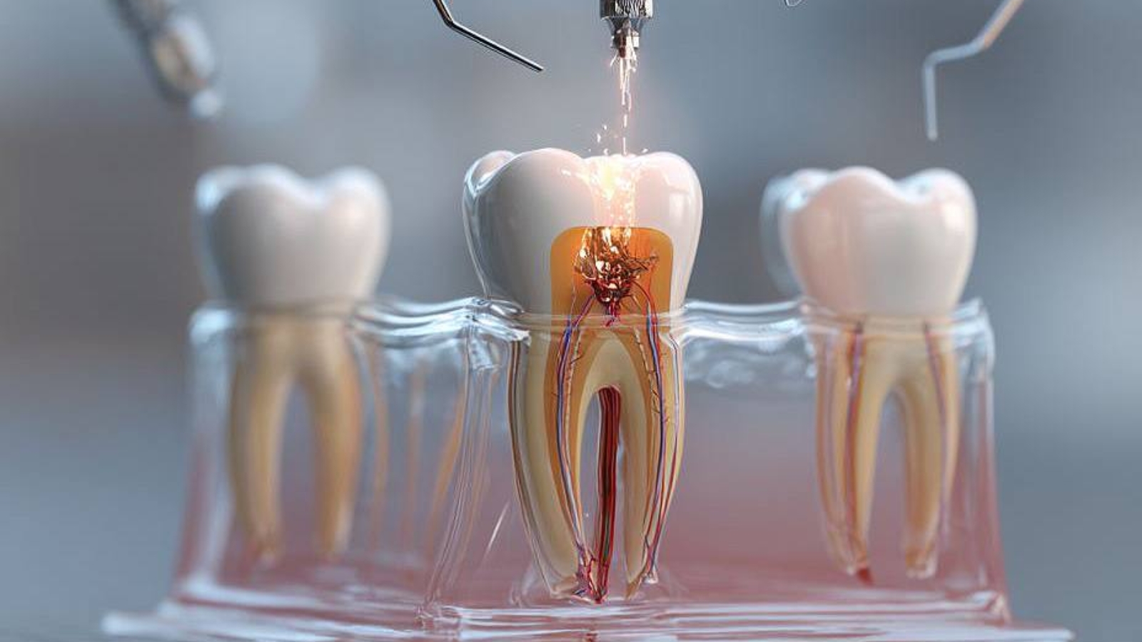 photo_2026-02-25_11-05-44