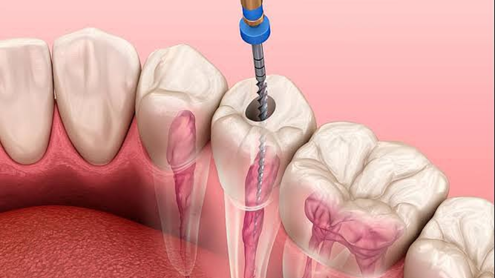 photo_2026-02-26_12-22-15