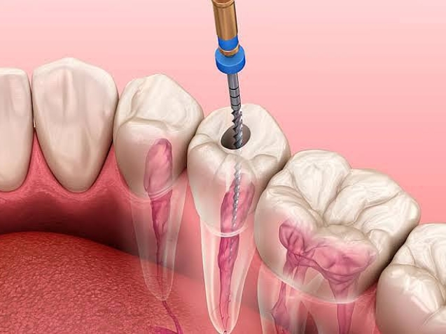 photo_2026-02-26_12-22-15