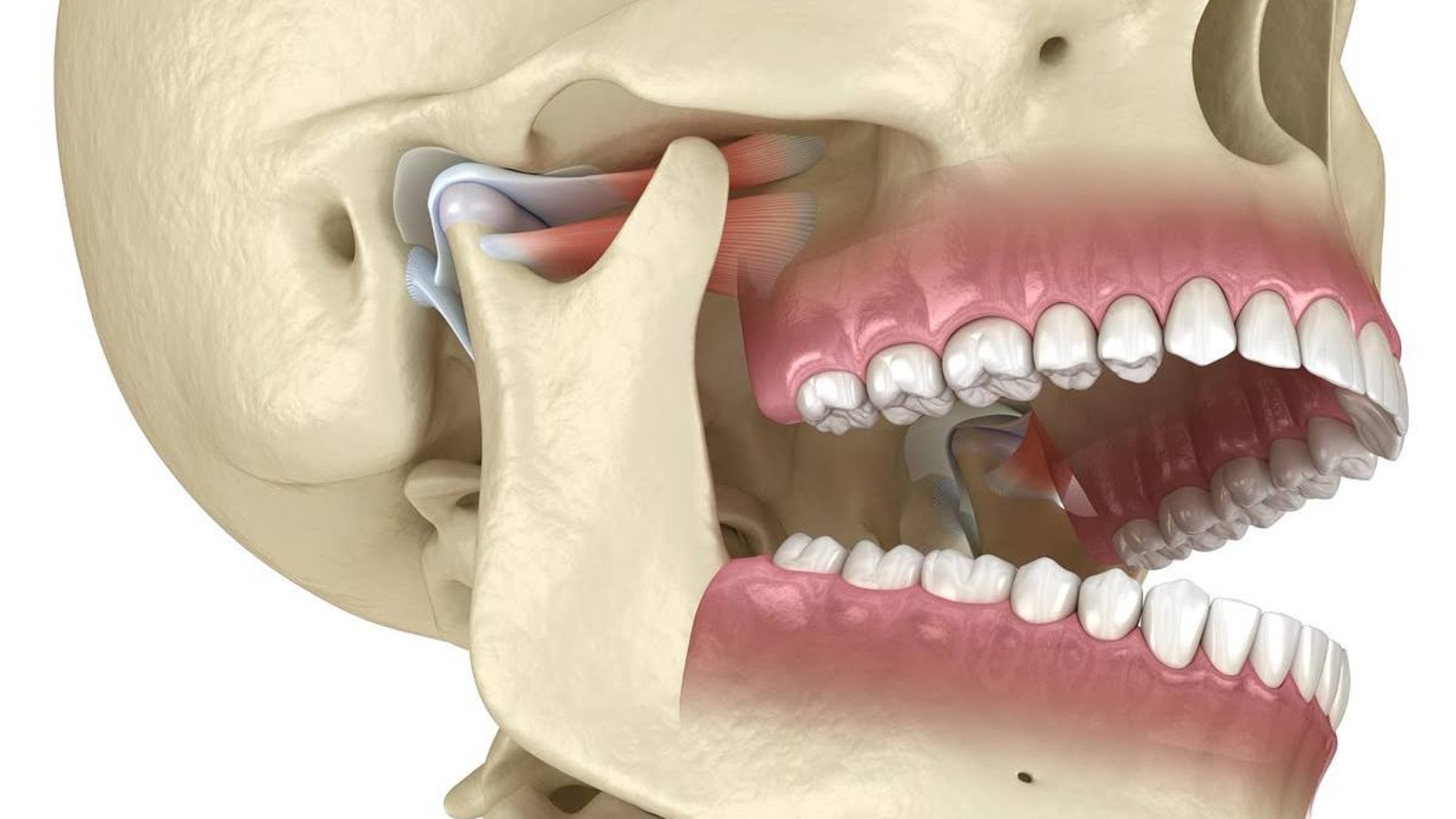 photo_2026-03-02_09-41-48