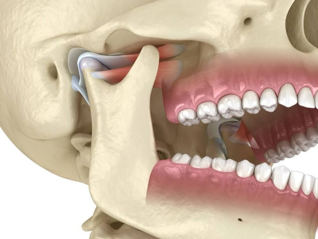 photo_2026-03-02_09-41-48