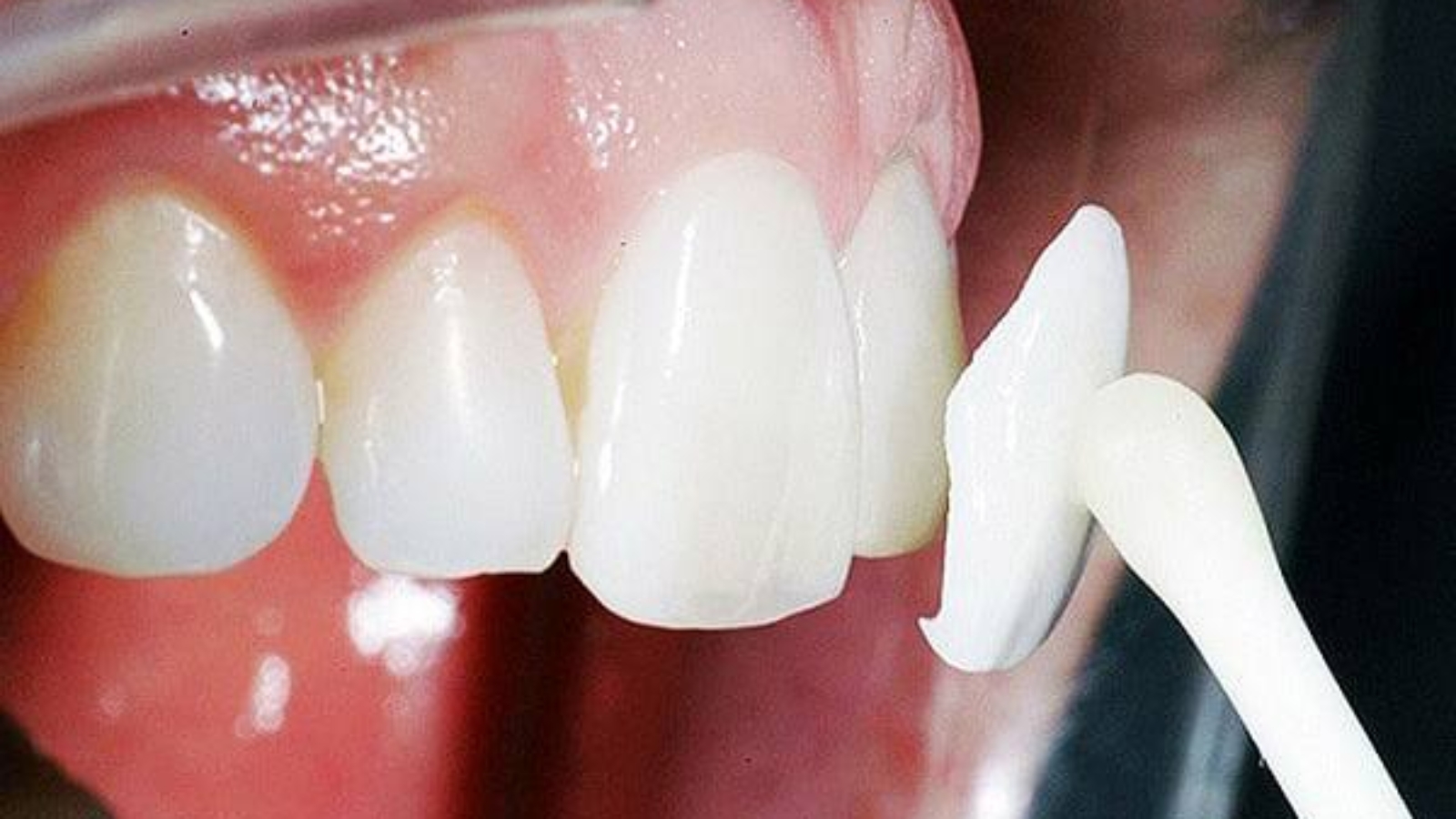 photo_2026-03-04_10-53-00-1