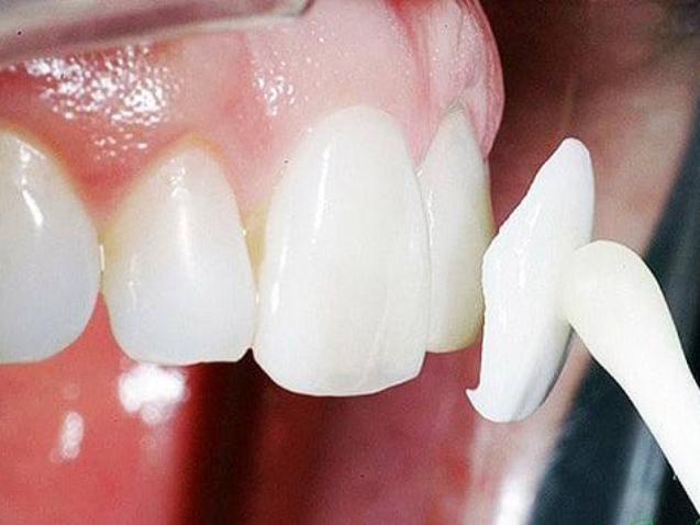 photo_2026-03-04_10-53-00-1