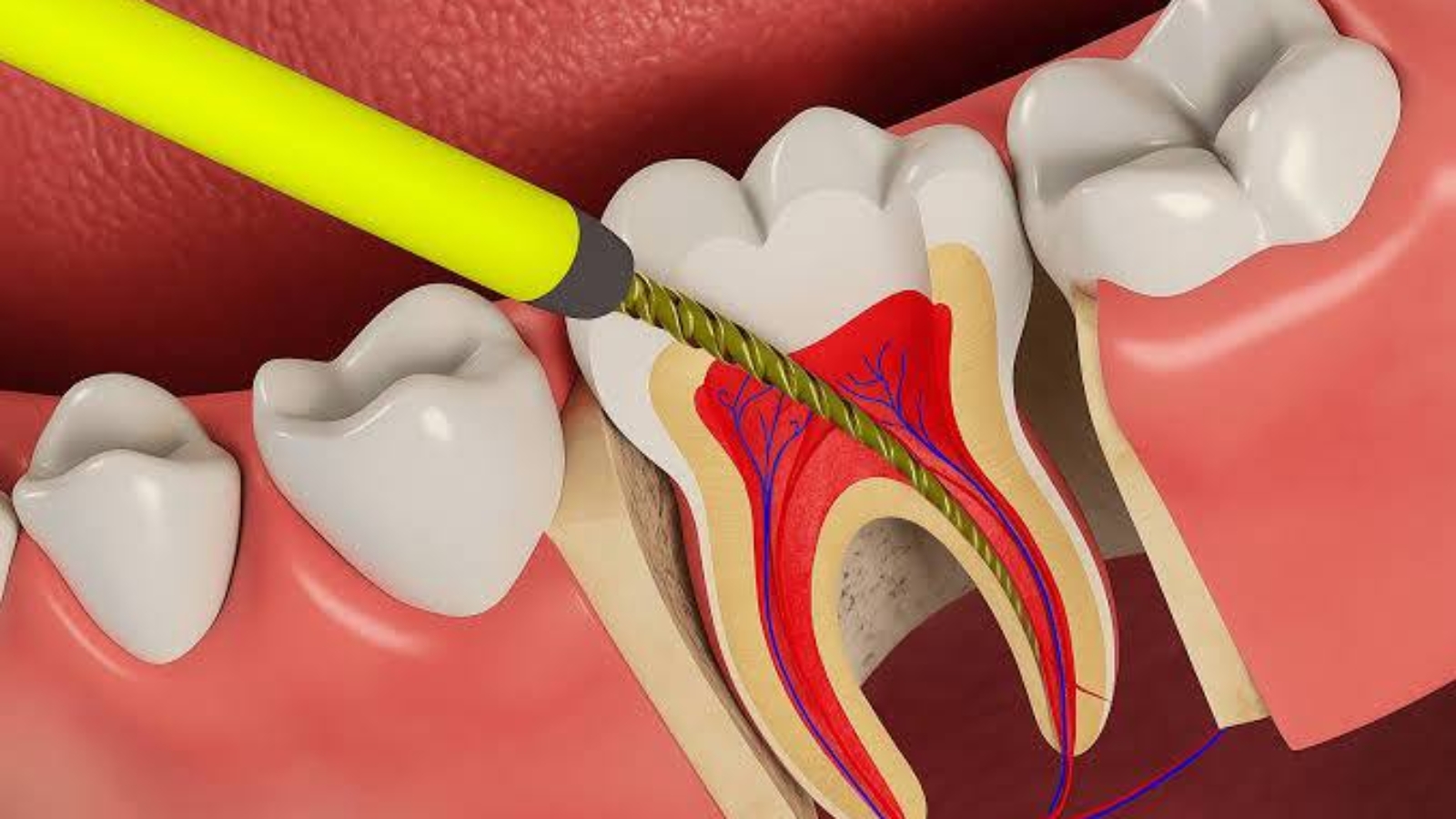 photo_2026-03-04_10-59-46