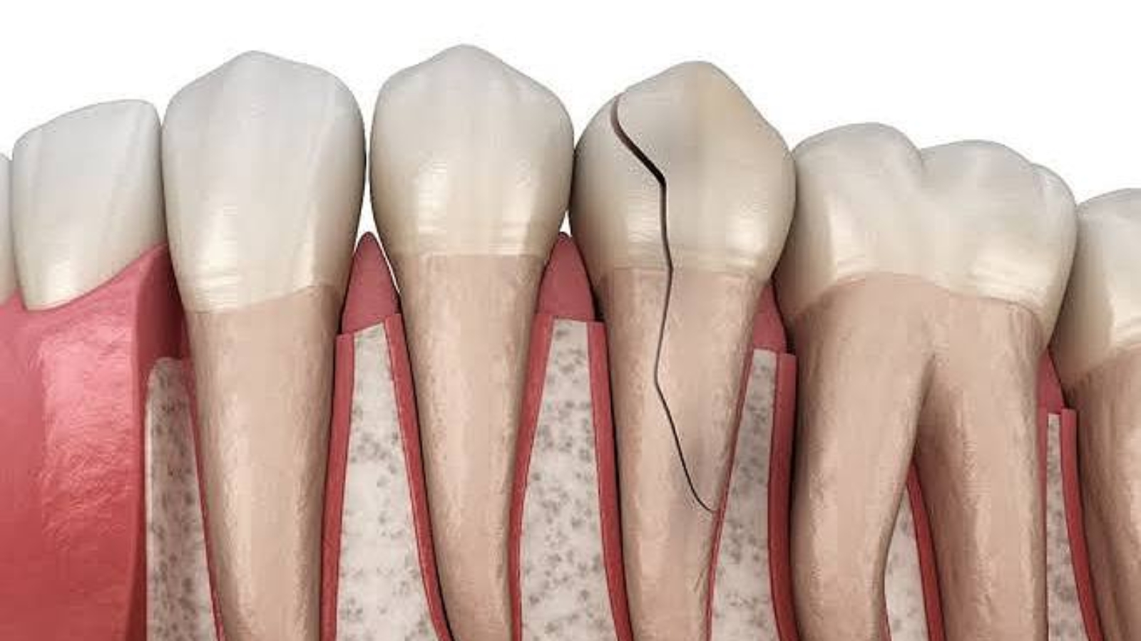 photo_2026-03-06_11-50-10