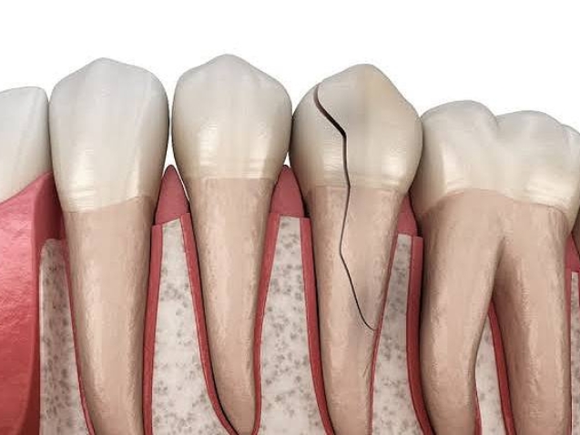 photo_2026-03-06_11-50-10