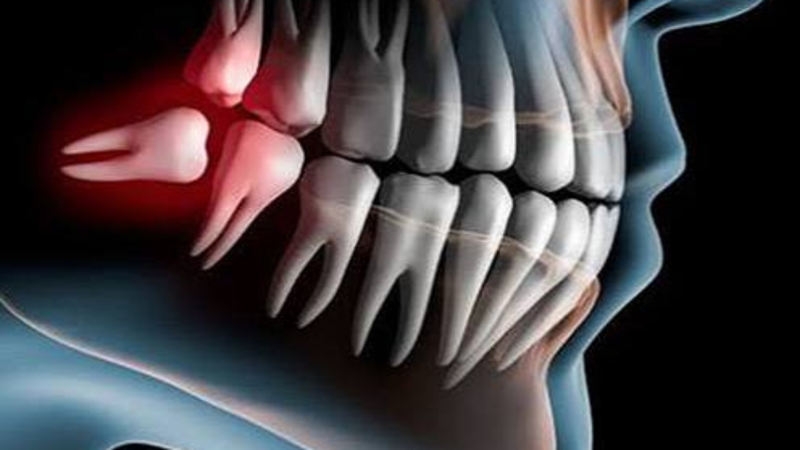 photo_2026-03-10_11-32-06