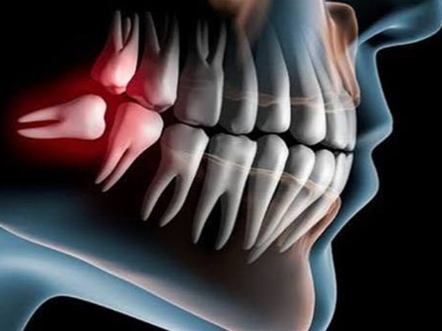 photo_2026-03-10_11-32-06