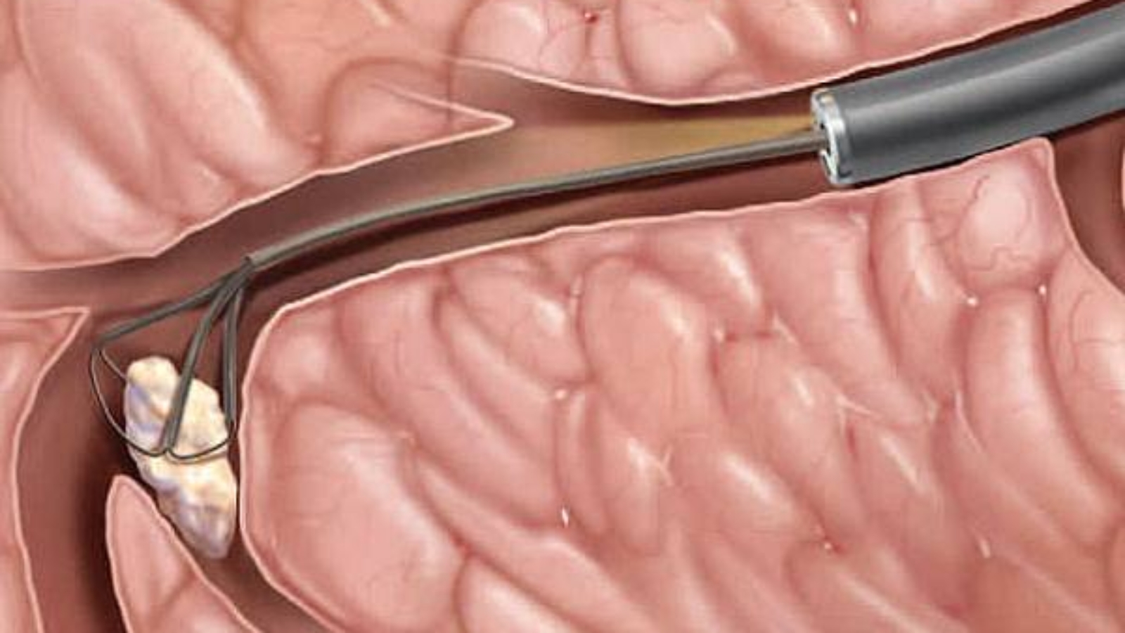 photo_2026-03-10_11-32-11