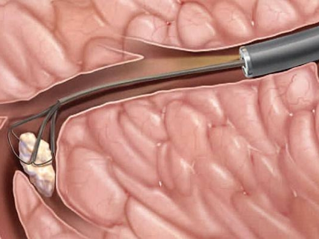 photo_2026-03-10_11-32-11