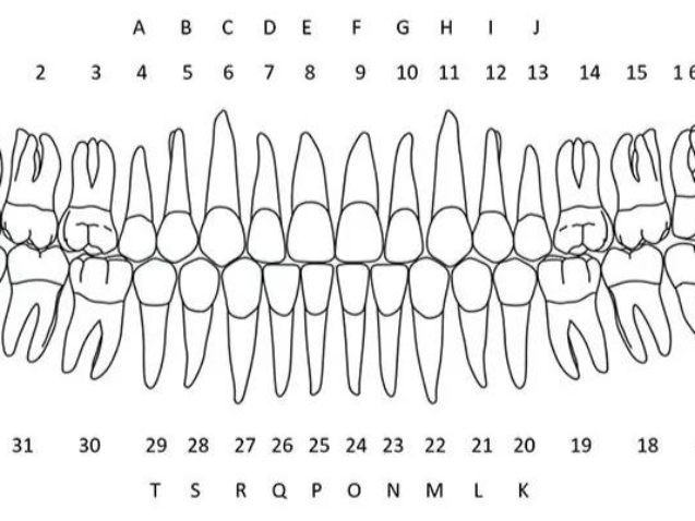 photo_2026-03-12_12-15-08