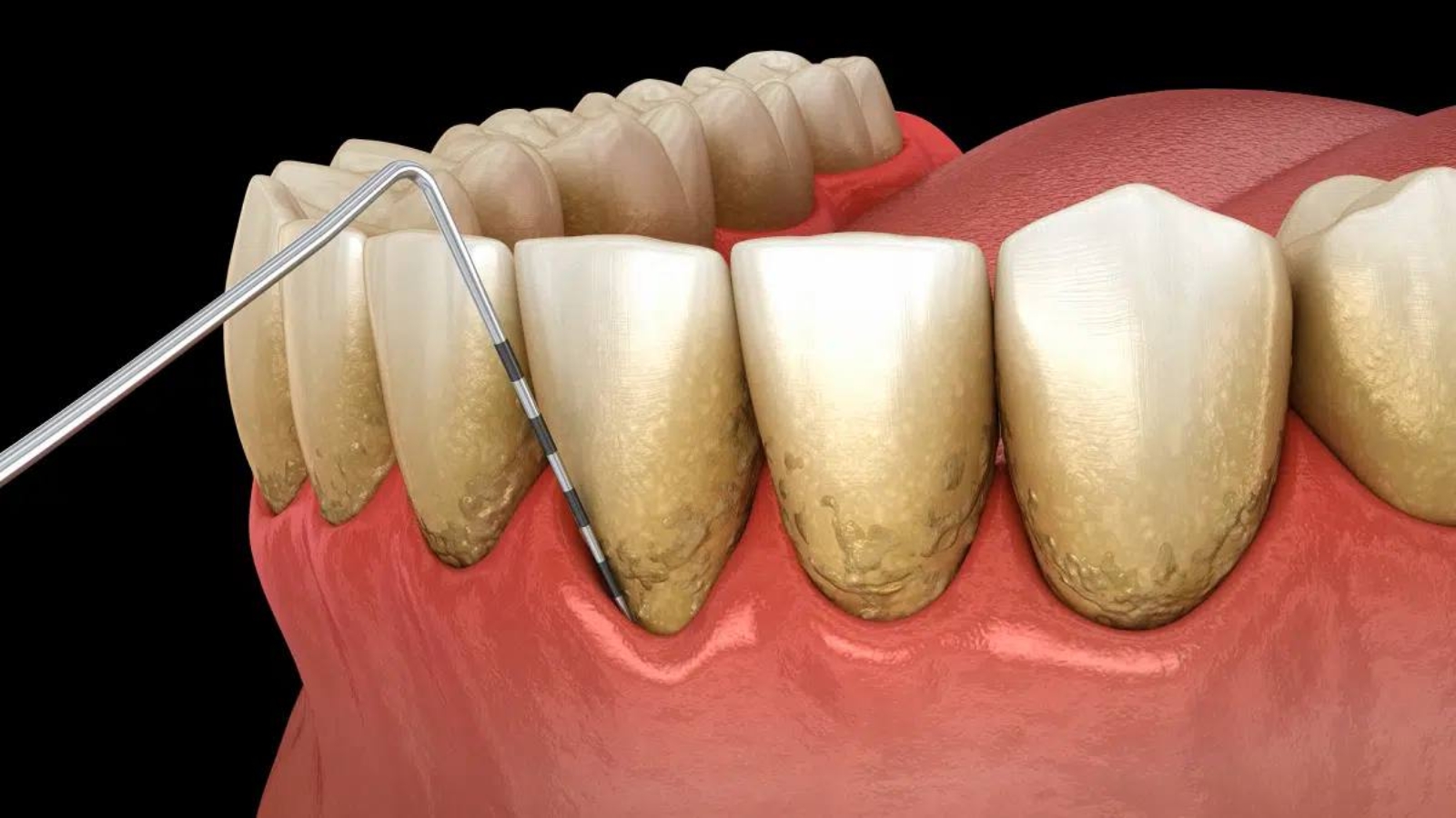 photo_2026-03-12_12-15-13