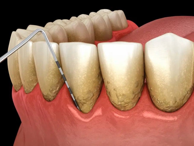 photo_2026-03-12_12-15-13