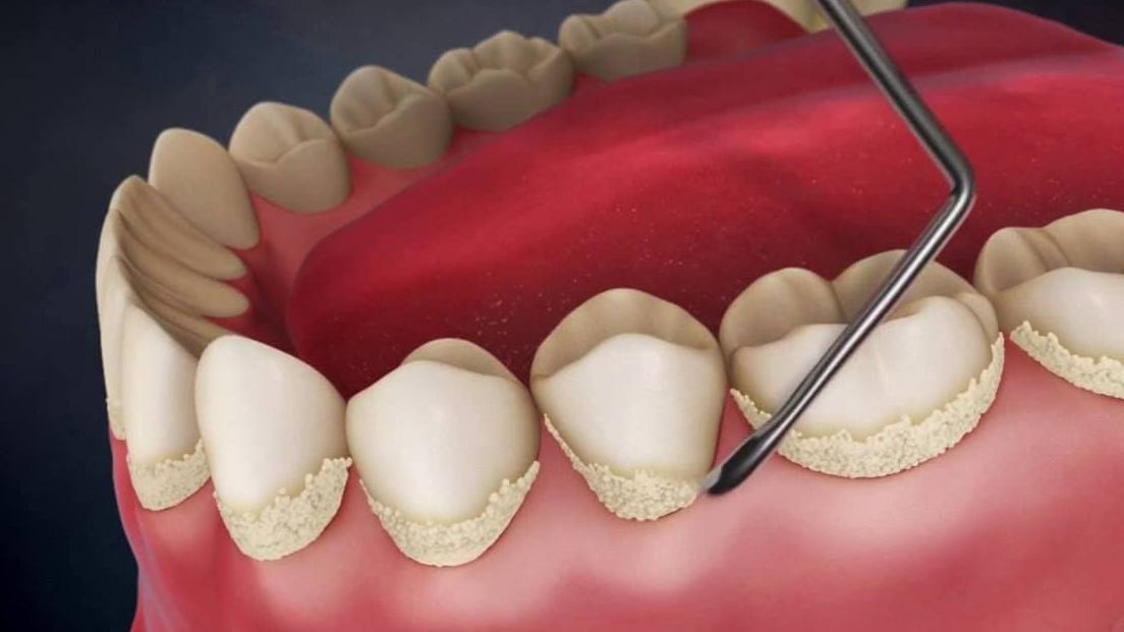 photo_2026-03-13_11-51-56