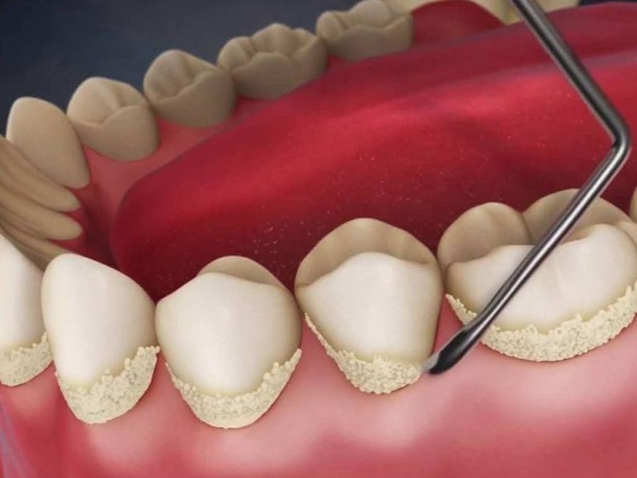 photo_2026-03-13_11-51-56