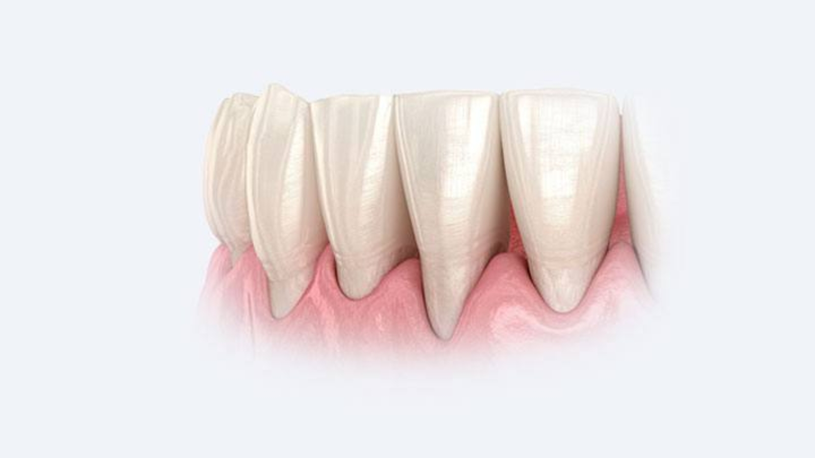 photo_2026-03-13_11-52-10