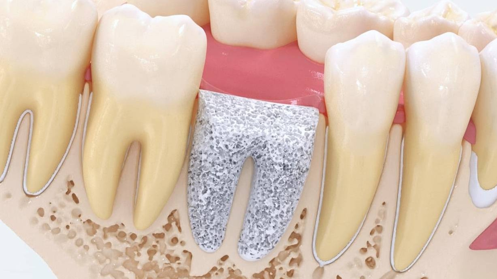 photo_2026-03-16_10-16-12