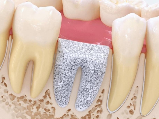 photo_2026-03-16_10-16-12