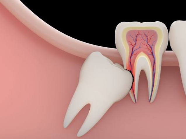 photo_2026-03-16_10-16-22