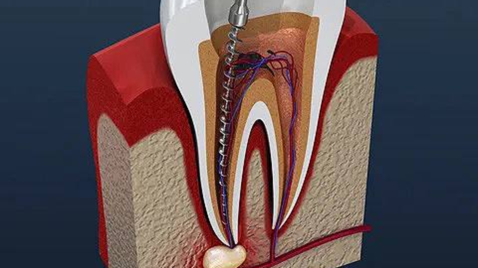 photo_2026-03-17_10-33-42