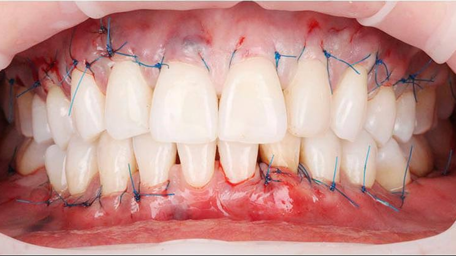 photo_2026-03-17_10-35-01