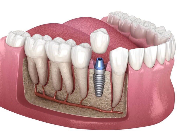 photo_2026-03-18_11-04-04