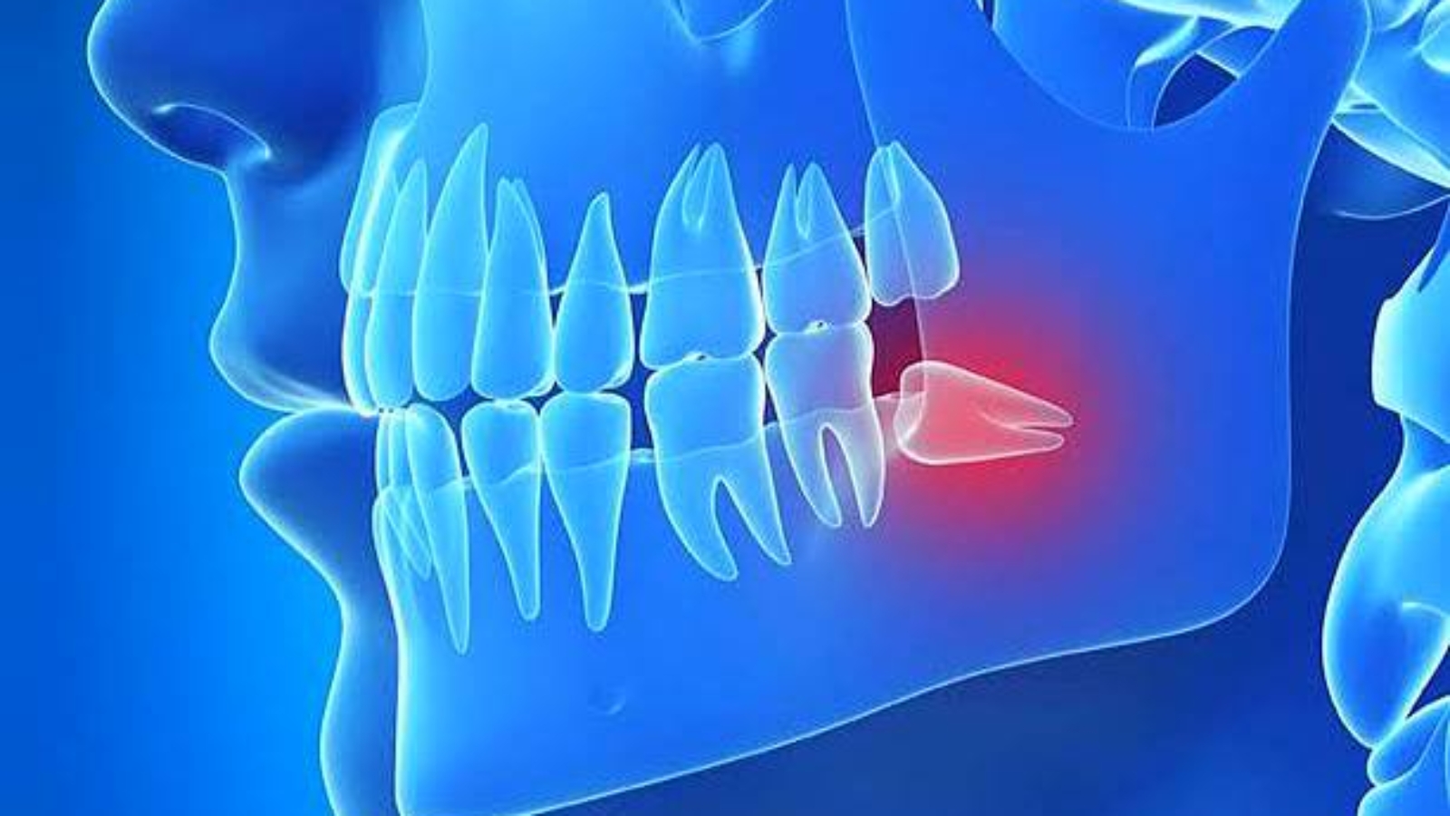 photo_2026-03-24_10-51-34