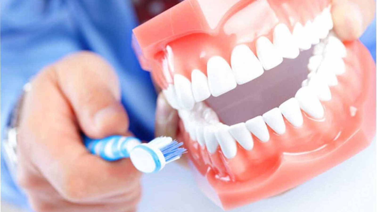 photo_2026-03-24_10-51-53