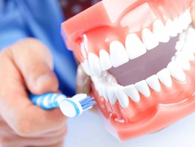 photo_2026-03-24_10-51-53