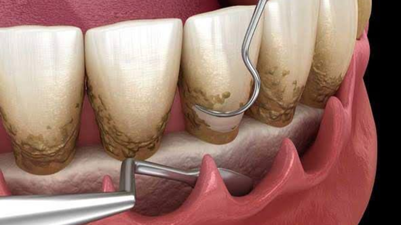 photo_2026-03-24_10-52-17