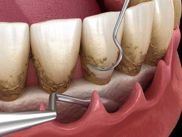 photo_2026-03-24_10-52-17