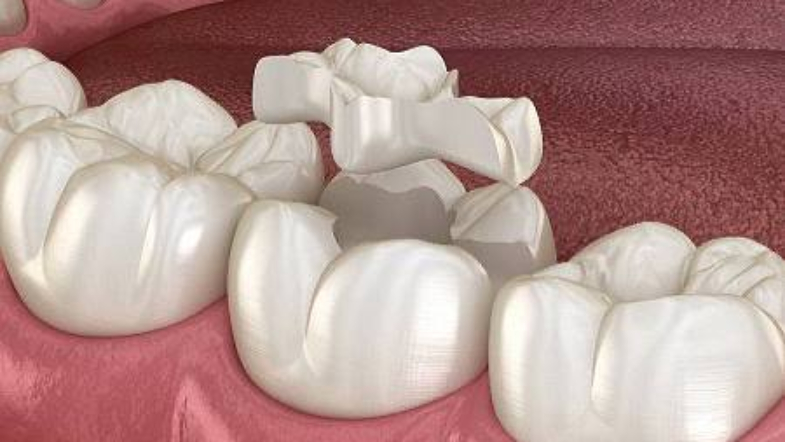 photo_2026-03-26_11-41-12