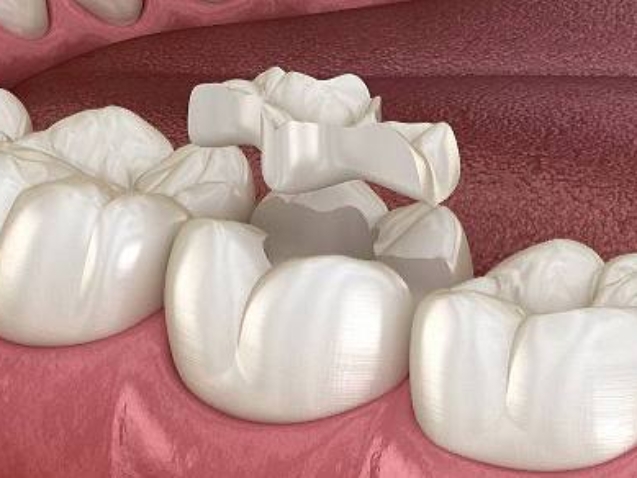 photo_2026-03-26_11-41-12