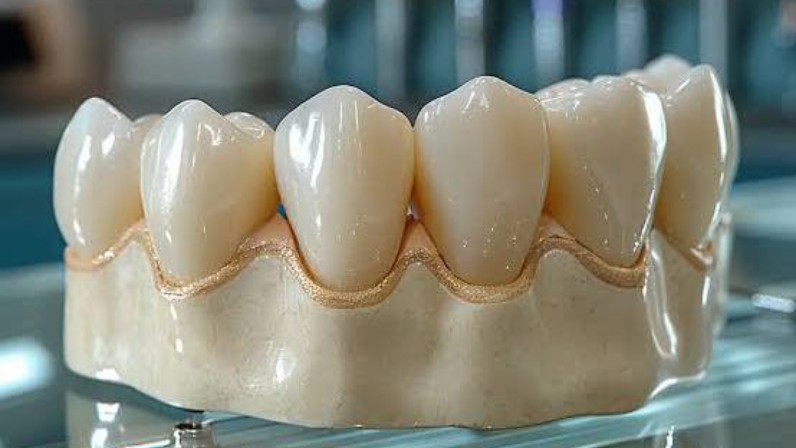 photo_2026-03-31_11-34-02