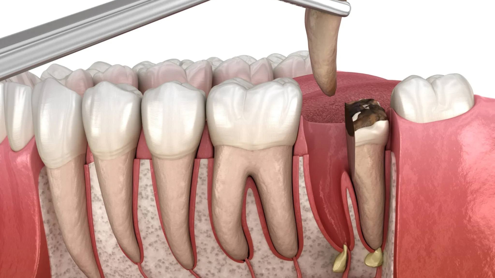 photo_2026-03-31_11-34-08