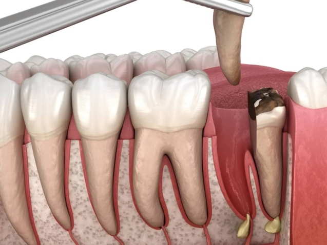 photo_2026-03-31_11-34-08