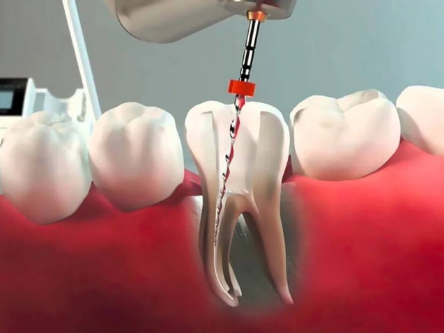 photo_2026-03-31_11-34-45