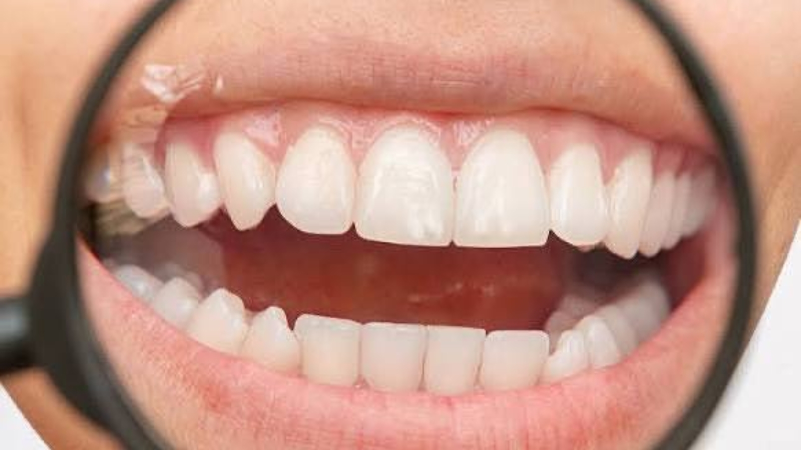 photo_2026-04-01_11-27-52