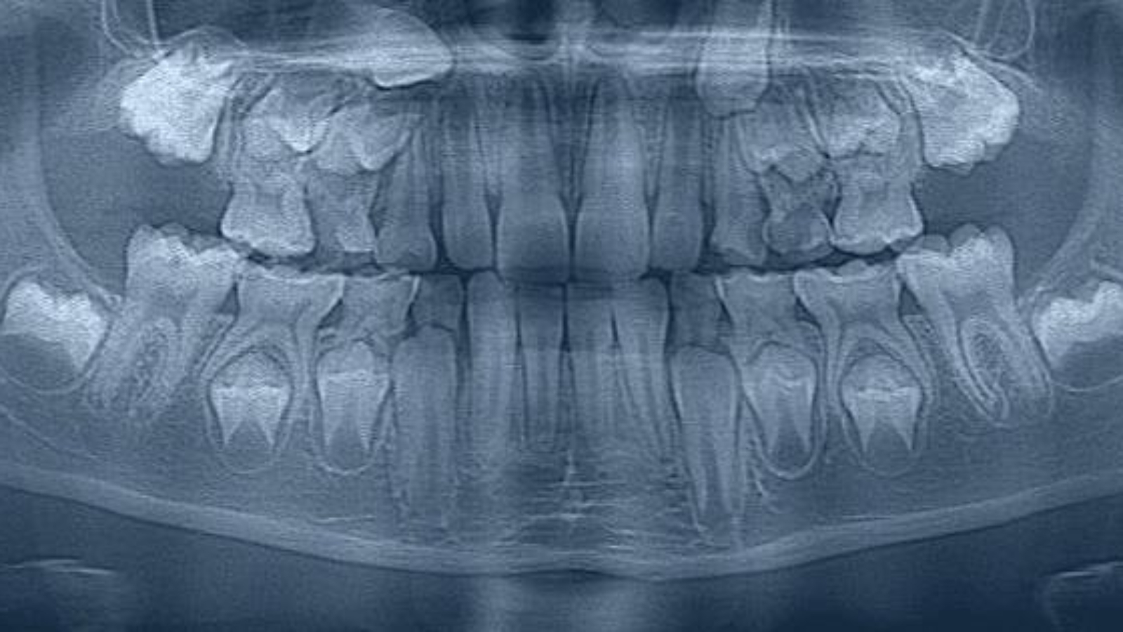 photo_2026-04-01_11-28-16