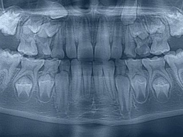 photo_2026-04-01_11-28-16