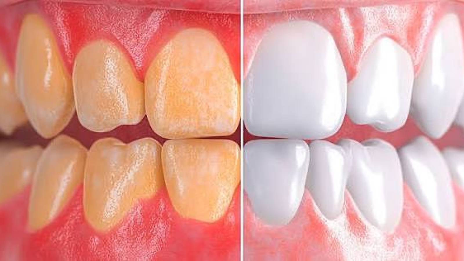 photo_2026-04-02_09-29-37