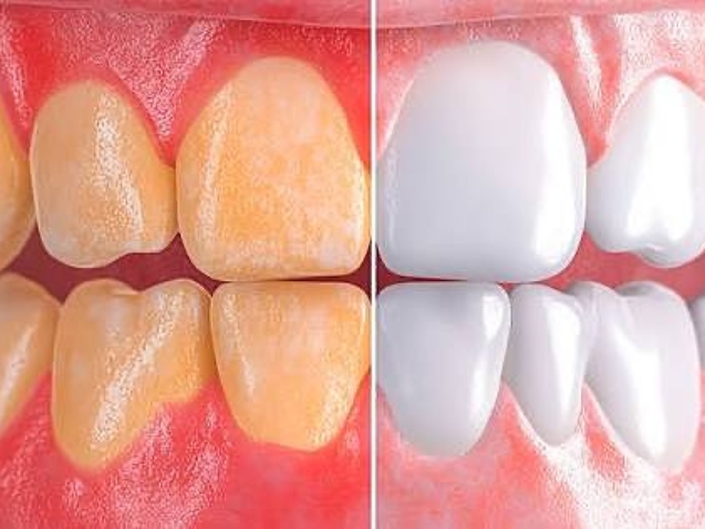 photo_2026-04-02_09-29-37