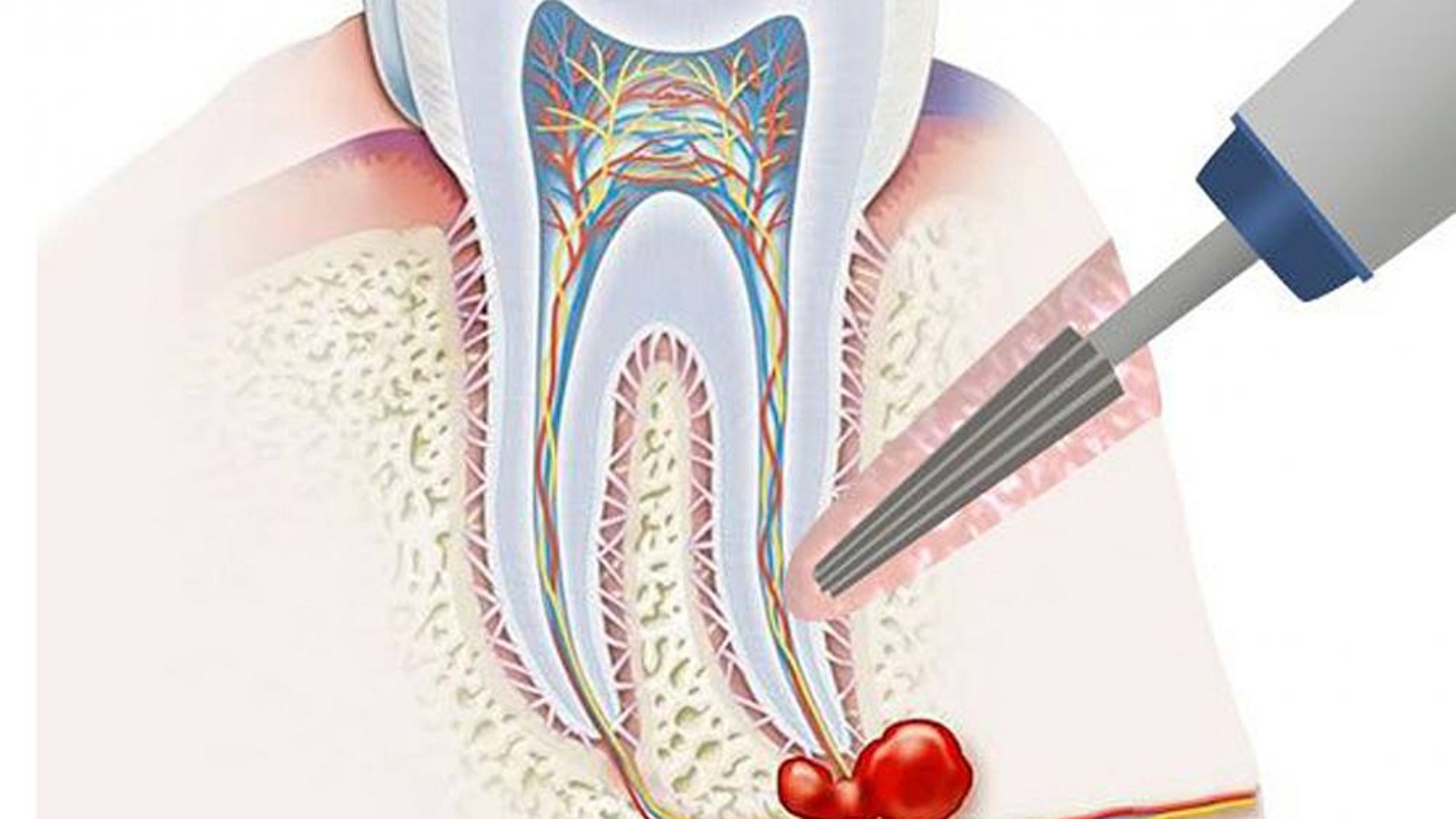 photo_2026-04-02_09-37-57
