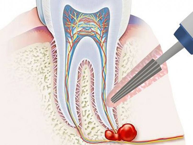 photo_2026-04-02_09-37-57